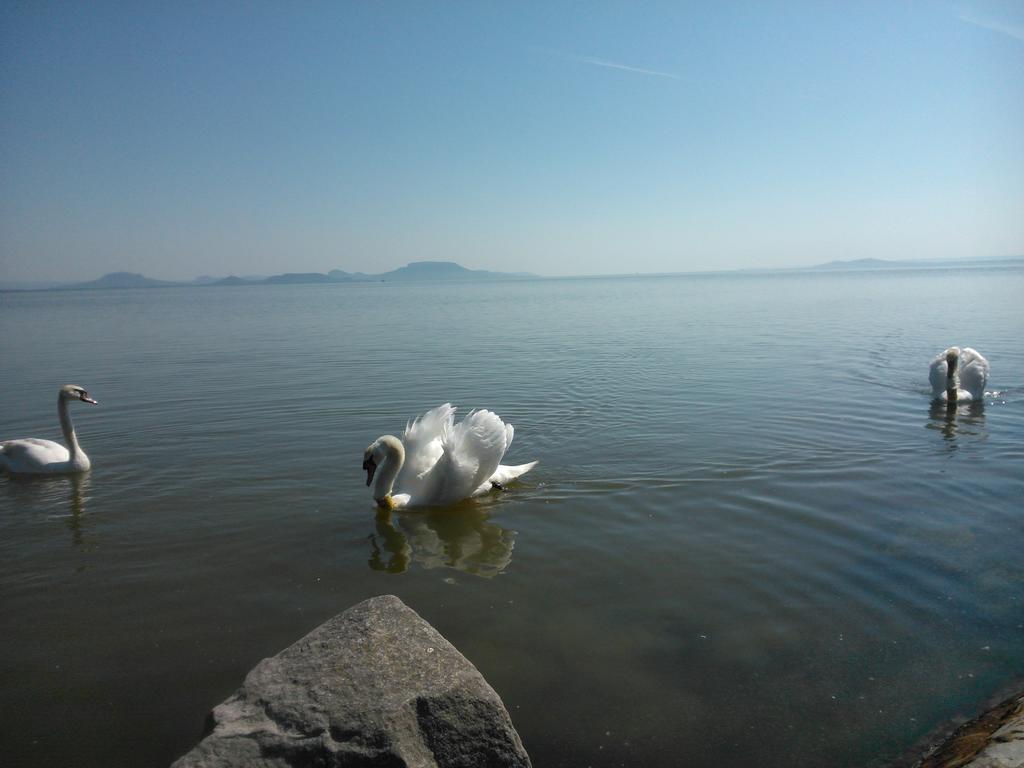 شقة Angela Haz Balatonberény الغرفة الصورة